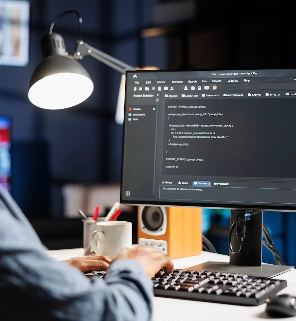 WordPress Özel Geliştirme